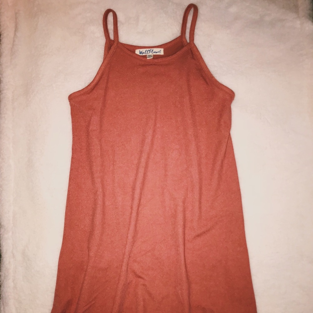 NWOT Mauve Skater Dress